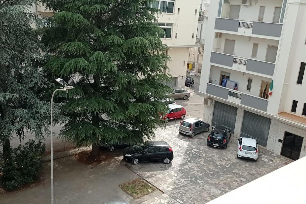 Appartamento Terrazza Bella Vista 奇斯泰尼诺 外观 照片