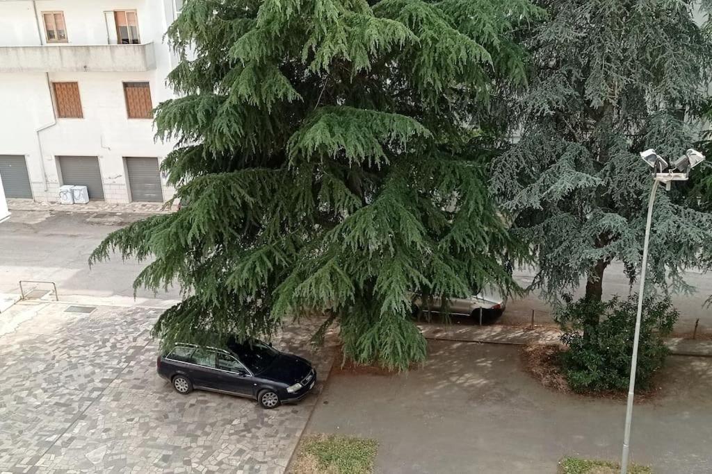 Appartamento Terrazza Bella Vista 奇斯泰尼诺 外观 照片